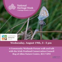 Butterflies of Irish Wetlands
