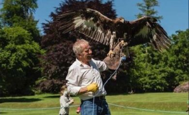 Second Weekend Falconry Second Weekend Falconry