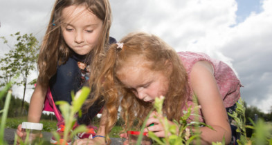 Laois Heritage K Ids Wildlife 09