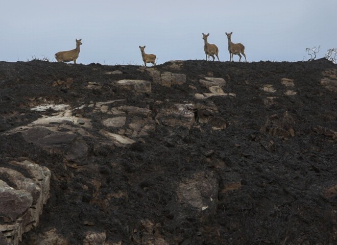 Killarney National Park