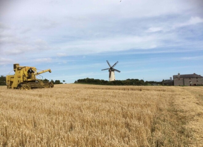 Skerries Mills Harvest Time Festival