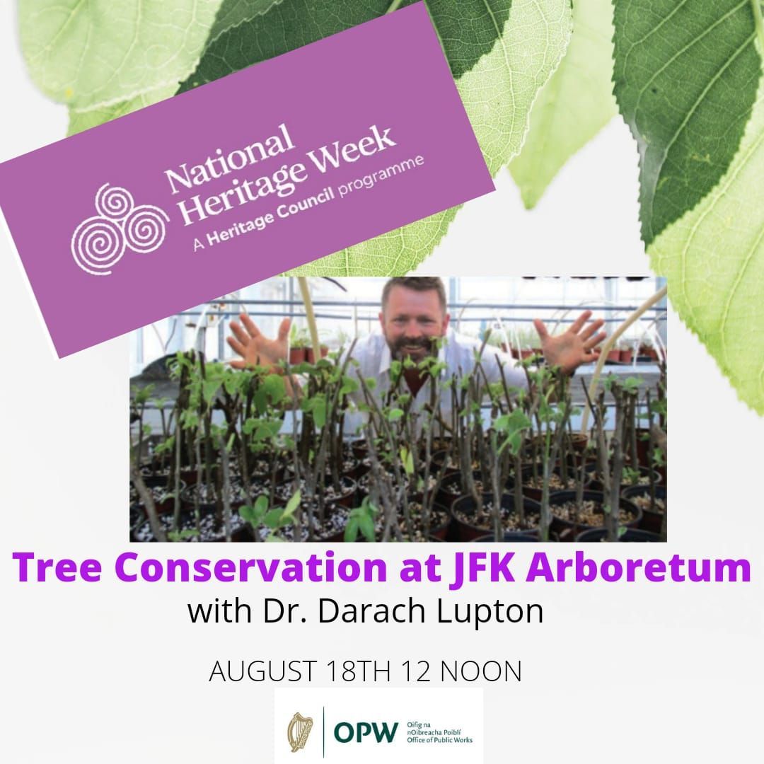 Tree Conservation at JFK Arboretum. Seachtain Náisiúnta na