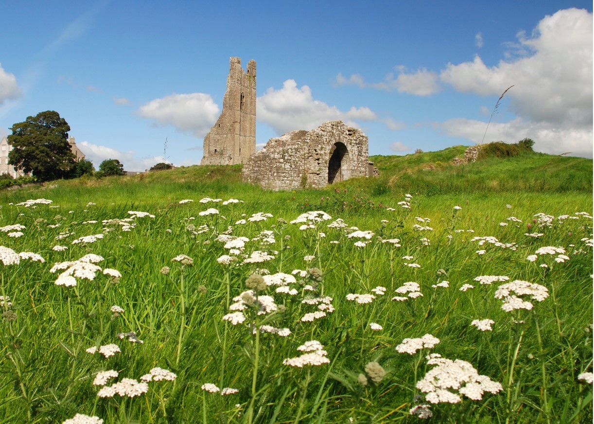 Guided Walk of Trim Town Walls National Heritage Week 17th 25th