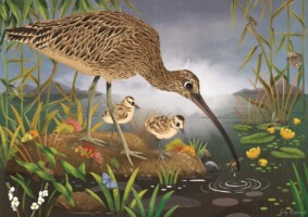 Nature Through Art – An Exhibition by Lily Bernard