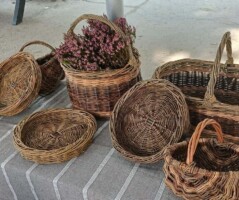 Ashland Pym - Traditional Weaving & Natural Remedies