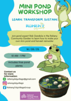 Mini Pond Workshop - Raheny