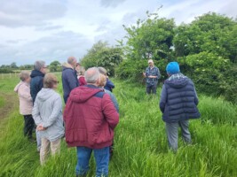 Hedgerow Healing - Exploring Traditional Herbal Uses of our Hedgerows