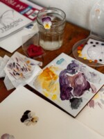 Summer Flowers: Botanical Art with Shevaun Doherty