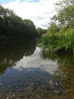 Askeaton Ballysteen Natural Heritage River Walk