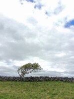 An Evening of Clare Folklore: bring a story from your parish
