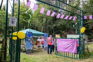 Beekeeping Open Day in Association with Stradbally Hall