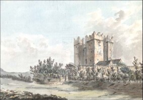 Guided Tours of Bellew's Castle, Castletown, Dundalk