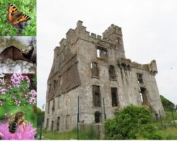 Talk on Conservation, Flora and Fauna of Menlo Castle