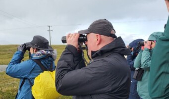 Discover the Wild Birds of Maharees with Ornithologist Ed Carty
