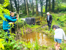 Land, stream and Ponds: Biodiversity Count and Draw along