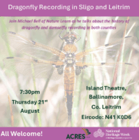 Dragonfly Recording in Sligo and Leitrim