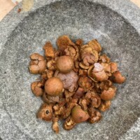 Oak Gall Ink Workshop