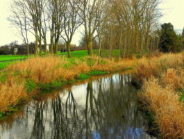 Walk and Talk on the Camac River