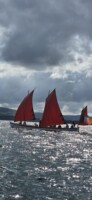 The Great Whiddy Island Circumnavigation
