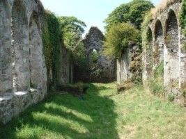Molana Abbey guided tour