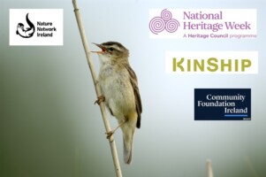 Irish Birds at Risk