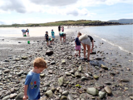 Waterville Seashore Biodiversity Exploration