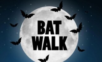 Bat Walk in Carrick-on-Suir