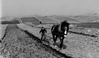 COTHÚ, CURAÍOCHT AGUS CÚRAM – LIVING IN SERVICE TO THE LAND