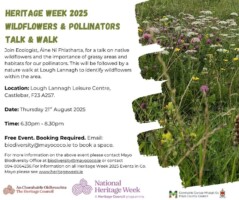 Native Wildflowers & Pollinators
