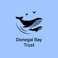 Wildlife Celebration on the Green - Mullaghmore