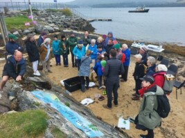 Whiddy Island: Seaweeds – Foraging, Uses and Ecology