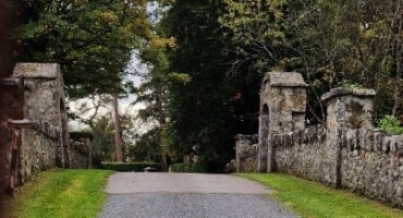 Heritage at Risk on the North Tipperary Shoreline of Lough Derg