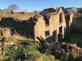 Elsinore Restoration Journey