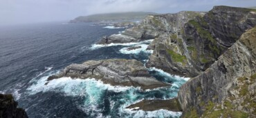 Connected to Nature: Protecting Species from River to Sea