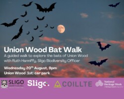 Union Wood Bat Walk