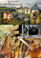The Plants Our Grandparents Knew
