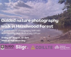 Guided Nature Photography Walk in Hazelwood Forest
