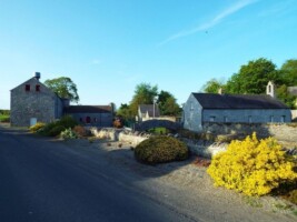 Tour of Mill and grounds at Donaghmore