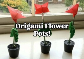 Origami Flower Pots (for families) at Dublin Castle