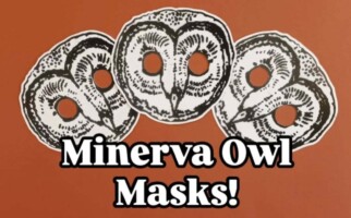 Minerva Owl Masks at Dublin Castle