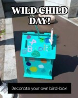 Wild Child Day at Dublin Castle