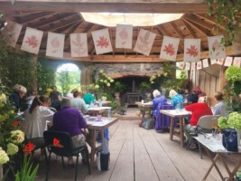 Beginners Botanical Art with Shevaun Doherty