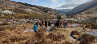 ReWild Wicklow - Monitoring, protecting, enhancing and increasing native habitats in Wicklow