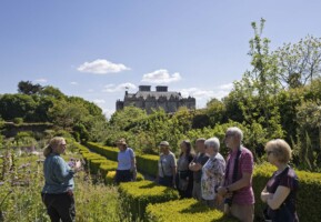 Walled ‘Kitchen’ Garden Tour