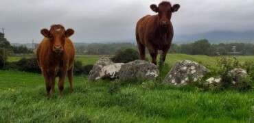 Foundations of Farming