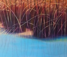 A Sense of Place: Artist Talk and gallery conversation with Liz Johnson