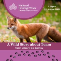 A Wild Story about Tuam