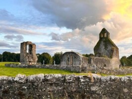 GUIDED TOUR OF ABBEYSHRULE CISTERCIAN ABBEY