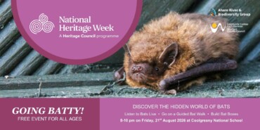Going Batty!
