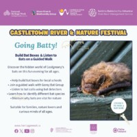 Going Batty!